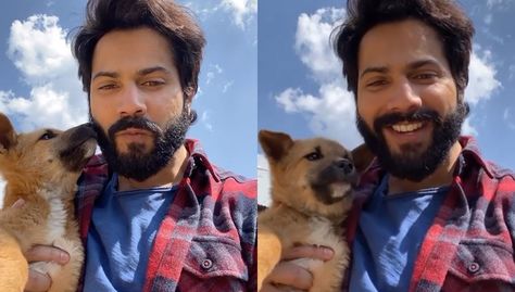 Varun Dhawan, who is gearing up for the release of his upcoming movie Bhediya shared a video of him on his Instagram. The actor dropped a video of him holding a stray dog. Varun mentioned in his caption how the dog has featured in his upcoming movie Bhediya. Taking to his Instagram, Varun Dhawan shared the video with the dog and its too cute for words. The Bhediya actor dropped the video on his Instagram and wrote, "Dogs of bhediya." Dhawan shared the video, adding the song Apna Bana Le to the b Apna Bana Le Song, Apna Bana Le, In His Arms, Cute Little Puppies, Varun Dhawan, Little Puppies, Upcoming Movies, Trending News, Bollywood News