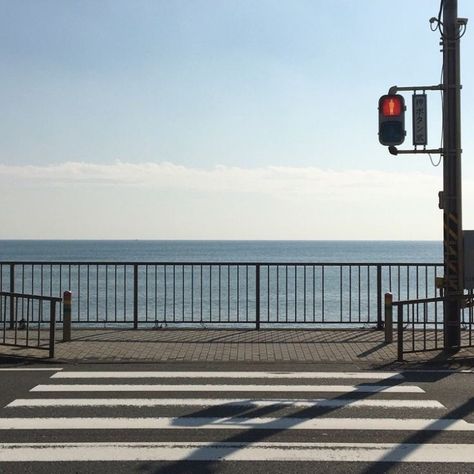 The Ocean, Fence, Road, Red