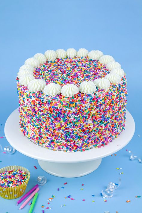 Cake Decorating Sprinkles, Tiffany Blue Cakes, Rainbow Sprinkle Cakes, Sprinkle Birthday, Sprinkles Birthday Cake, Decorate Cake, Sprinkles Cake, Cake Sprinkles, Whiskey Cake