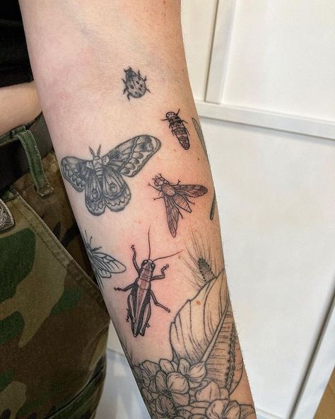 Insect Forearm Tattoo, Insect Patchwork Sleeve, Full Nature Sleeve Tattoo, Bugs Sleeve Tattoo, Bug Patchwork Sleeve Tattoo, Bug Themed Tattoo Sleeve, Insect Leg Tattoo, Traditional Mantis Tattoo, Tattoo Ideas Insects