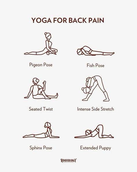 Everyday Yoga Routine, Streching Excersise, Summer Body Workout Plan, Yoga Poses For Back, Morning Yoga Flow, Back Yoga, Morning Yoga Routine, Morning Stretches, Summer Body Workouts