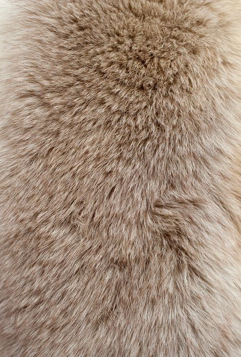 Fur texture Photo | Premium Download Texture Download, Fur Texture, Texture Inspiration, Texture Photography, Fabric Textures, Material Textures, Materials And Textures, Fur Fabrics, Beige Aesthetic