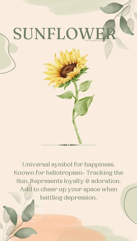 Flowers That Mean Strength, Moonflower Meaning, Sunflower Symbolism, Sunflower Meaning, Flower Symbolism, Flower Dictionary, God Apollo, Happiness Symbol, Mushroom Plant