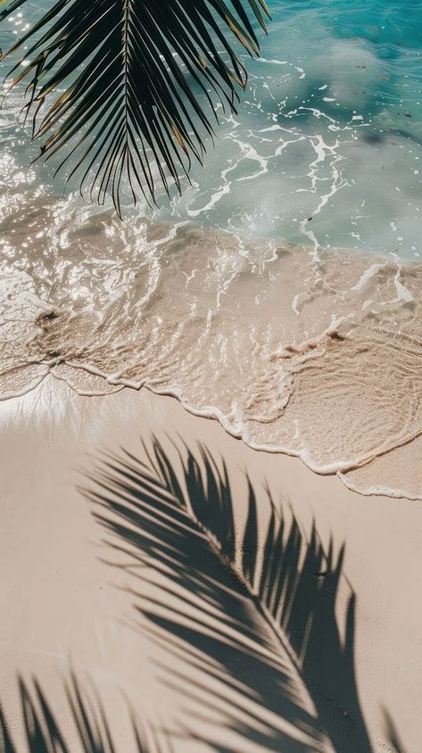 Beach wallpaper background shoreline outdoors nature. | free image by rawpixel.com / Sasi Vacation Phone Wallpapers, Apple Watch Wallpaper Summer Aesthetic, Wallpapers Plants Aesthetic, Cool Summer Backgrounds, Beach Spring Aesthetic, Coastal Background Wallpapers, Neutral Summer Wallpaper, Tropical Background Aesthetic, Pretty Beach Wallpapers