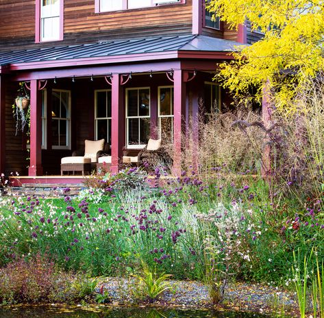 Vermont Gardening, Vermont Garden, Local Port, Honey Locust, Natural Pond, British Garden, Fall Garden, Small Ponds, Garden Pathway