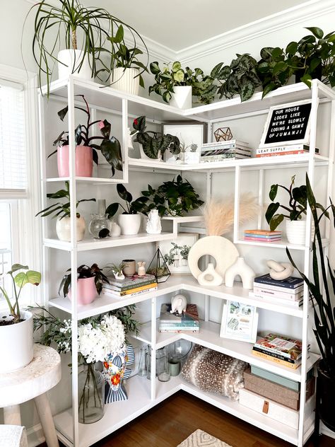 Bookshelf Styling With Plants Tall White Bookshelf, Bookshelf With Plants, White Bookshelf Decor, Styling With Plants, Style A Bookshelf, Bookshelves Aesthetic, Living Room Bookshelf, White Bookshelf, Room Bookshelf