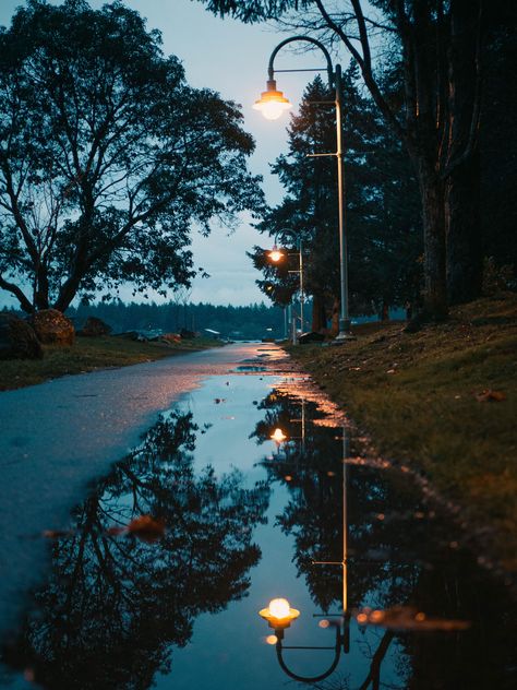 Nature Photography Rain, Unique Nature Pictures Photography, Atmosphere Photography, Unique Landscape Photography, Rain Landscape Photography, Reflection Photography Landscape, Puddle Photography, Street Light Rain, Puddle Reflection