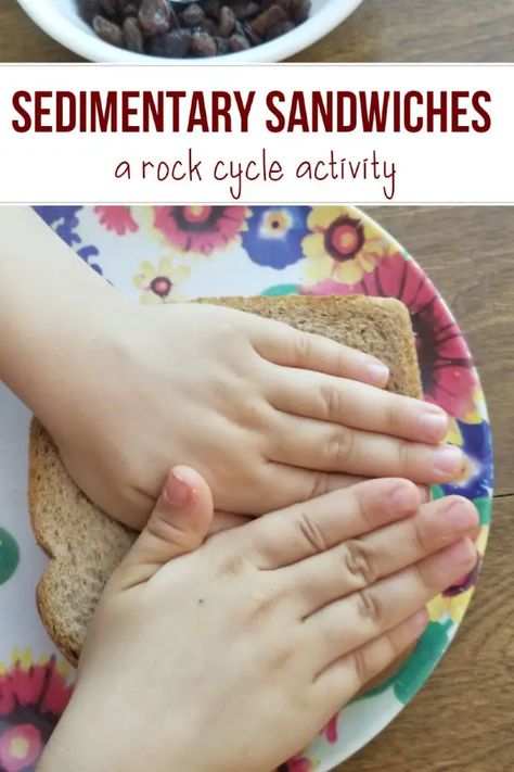 Sedimentary Sandwiches: A Rock Cycle Activity for Preschoolers Sedimentary Rock Activities, Rock Cycle Activity, Rock Experiments, Geology Activities, Trips For Kids, Sedimentary Rock Formation, Earth Science Activities, Middle School Science Experiments, Weathering And Erosion