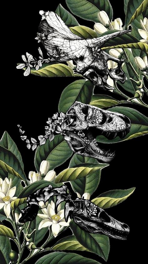 #dinowallpaper #wallpaper #dinosaurs #wallpapercollage #dinosauraesthetic Dinosaur Iphone Wallpaper, Dino Art, Dinosaur Posters, Dinosaurs, Art Wallpaper, Aesthetic Wallpapers, Iphone Wallpaper, Collage, Iphone