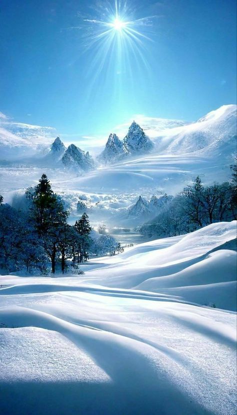 Winter Photography Nature, Beautiful Winter Pictures, Winter Landscape Photography, Beautiful Winter Scenes, Scenery Pictures, Winter Nature, Winter Photos, Winter Wallpaper, Winter Scenery