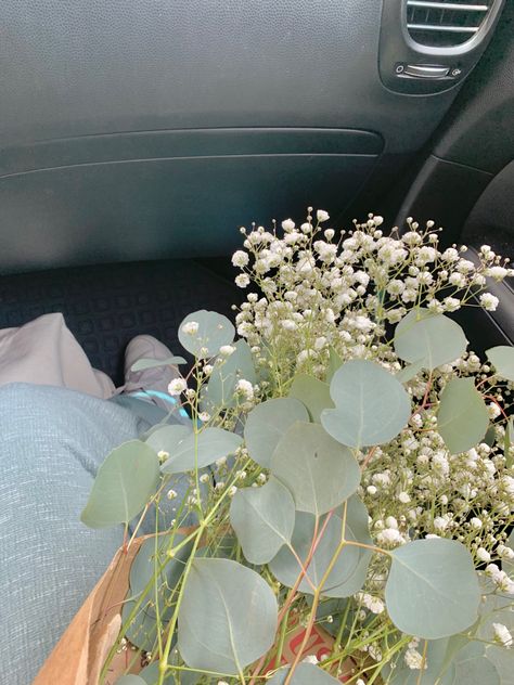 Green Asthetics Photos Widgets, Dusty Green Aesthetic, Sage Green Asthetics Photos, Baby Green Aesthetic, Sage Green Images, Flower Aesthetic Green, Eucalyptus Aesthetic, Green Flowers Aesthetic, Green Aesthetic Sage