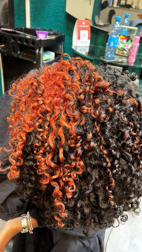 way to fineeee Natural Colors To Dye Hair, Brown Dyed Curly Hair, Dyed Curly Hair Black Women, Ways To Dye Your Hair Ideas, Dyed Roots, Ways To Dye Your Hair, Natural Hair Journey Tips, Hair Journey Tips, Types Of Hair Color