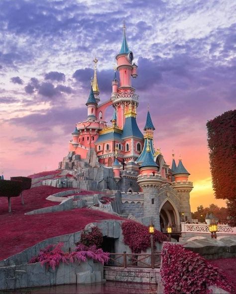 Disney, Flowers, Travel, Disneyland Paris, Paris, Disneyland, Pink, Castle