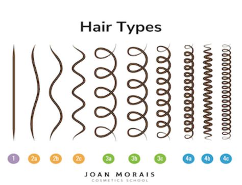 Surfactants in Natural Shampoo Part 2 - Joan Morais Cosmetics School Type 2a Hair, Hair Type Chart, 2a Hair, Hair Science, Natural Hair Shampoo, 4c Natural Hair, Corte De Cabelo Masculino, Wavy Curly Hair, Coarse Hair