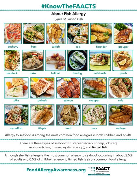 Types of #FinnedFish: -Anchovy -Bass -Catfish -Cod -Flounder -Grouper -Haddock -Hake -Halibut -Herring -Mahi mahi -Perch -Pike -Pollock -Salmon -Snapper -Sole -Swordfish -Tilapia -Trout -Tuna -Walleye Download #FAACT's #Fish Poster here. #FinFish #FinnedFish #FishAllergy #KnowTheFAACTs #ShareTheFAACTs #LearnTheFAACTs #AllergyAwareness #FoodAllergyAwareness #FoodAllergy #FoodAllergies #Anaphylaxis #Anaphylactic #FoodAllergyLife #FoodAllergyFriendlyCommunity #FoodAllergyEducation Fish Allergy, Shellfish Allergy, Common Food Allergies, Fish Poster, Food Allergies Awareness, Food Allergens, Allergy Friendly Recipes, Food Allergy, Food Challenge