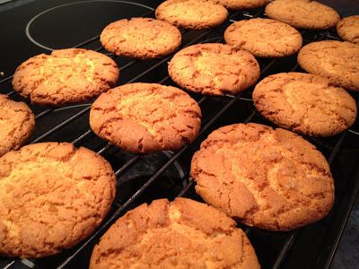 ... Simply Joolz: Golden Syrup Biscuits on a Sunday ... Golden Syrup Biscuits, Golden Syrup Cookies, Mexican Sweet Potatoes, Fig Jam, Sausage Rolls, Golden Syrup, Biscuit Cookies, Apple Butter, Freezer Meals