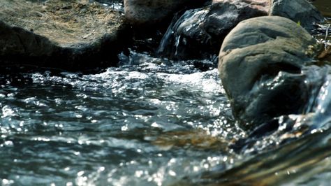 Stream of flowing River by LV4260 Stream of flowing river Mang at Boklua, Nan Province Thailand.Footage in full HD 1920x1080 Flowing River, Rock Aesthetic, Driveway Landscaping, Nature Aesthetic, Water Flow, Stone Rocks, Driveway, Full Hd, Landscaping