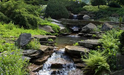 If you have a creek running through your backyard, you can use landscaping to make it one of the central features of the yard. When choosing plants to position around the creek,... Backyard Creek, Landscaping Ideas For Backyard, Backyard Stream, Fishing Pond, Ideas For Backyard, Large Backyard Landscaping, Building A Pond, Fountains Backyard, Koi Ponds