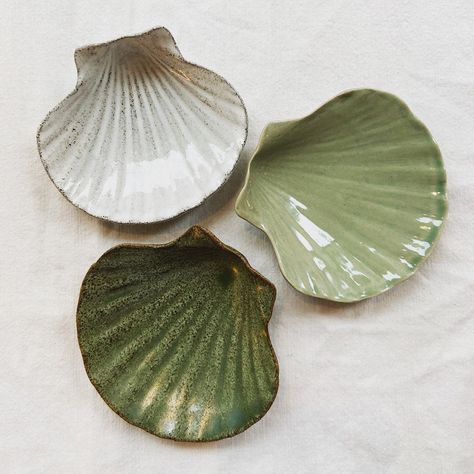 Seashell Ceramic Plate, Clay Seashell Dish, Sea Shell Pottery, Ceramic Sea Shell, Ceramic Shell Dish, Ceramics Seashell, Seashell Ceramics, Pottery Seashell, Seashell Pottery