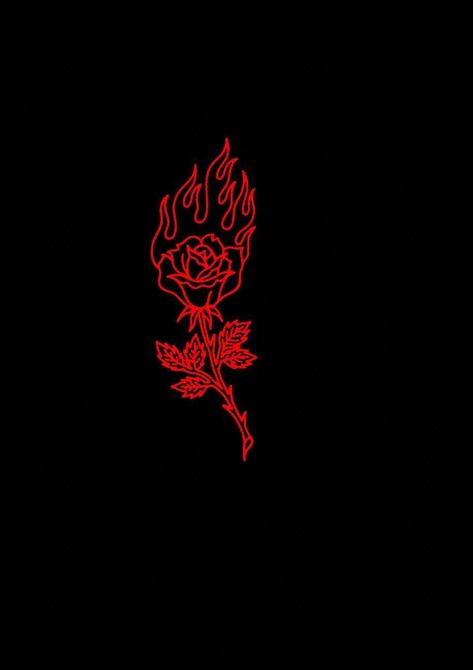 Rose On Fire, On Fire, Black Background, Roses, Writing, Red, Black