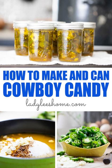 Canned Cowboy Candy, Easy Cowboy Candy, Cowboy Candy Jalapenos, Jalapeno Pickles, Cowboy Candy Recipe, Preserving Peppers, Canning Peppers, Preserving Vegetables, Cowboy Candy