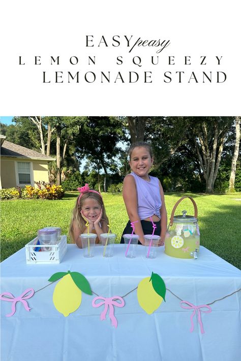 Easy Peasy Lemon Squeezey Lemonade Stand Easy Lemonade Stand, Lemonade Stand Decor, Easy Lemonade, Lisa Frank Birthday Party, Spring Chalkboard, Diy Lemonade Stand, Diy Lemonade, Bow Garland, Summer Math