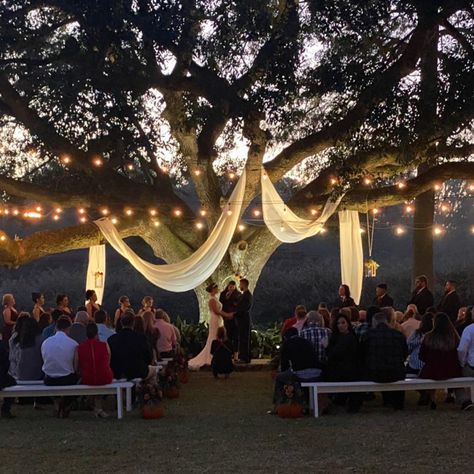 Wedding Tree Arbor, Tree Lanterns Wedding, Tree Background Wedding Ceremony, Wedding Under Oak Tree, Golden Hour Wedding Ceremony, Wedding Under Willow Tree, Ceremony Under Tree, Wedding Under Tree, Wedding Under Trees