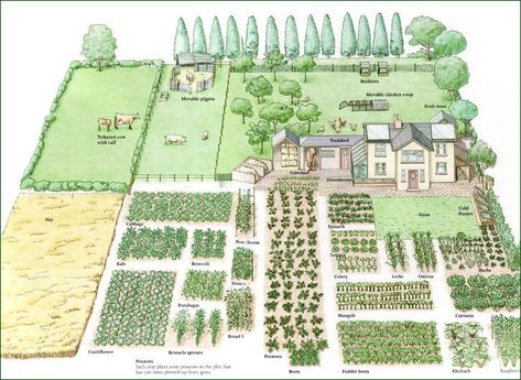 Garden Planing, Homestead Layout, Acre Homestead, Farm Plans, Farm Layout, Homestead Gardens, Desain Lanskap, Garden Design Layout, Landscape Design Plans