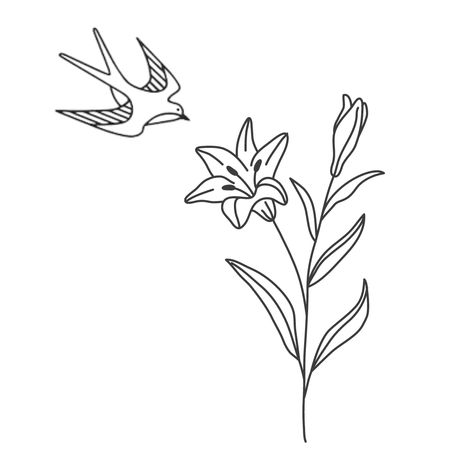 Simple sparrow and lily drawing Flower And Sparrow Tattoo, Simple Lilly Drawing, Lillies Flowers Drawing Simple, Lily Flower Simple Drawing, Sparrows And Lilies, Lillie’s And Sparrow Tattoo, Sparrow And Lilies Tattoo, Sparrow And Lily Tattoo Small, Lilies Drawing Simple