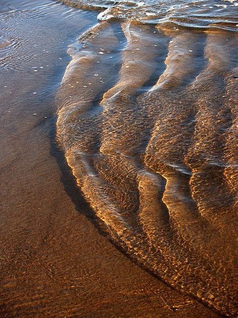 Color Home Design, Earth Tone Aesthetic, Brown Beach, Wallpaper Backgrounds Aesthetic, Color Home, Backgrounds Aesthetic, Color Vibe, Brown Eyed Girls, Brown Walls