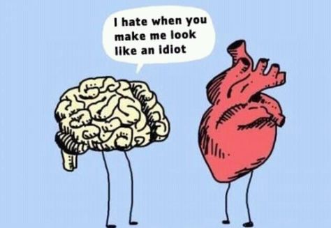 Which one do you allow to speak up most..? Heart Vs Brain, Heart And Brain, You Make Me, Bones Funny, A Heart, True Stories, Minion, Wise Words, Me Quotes