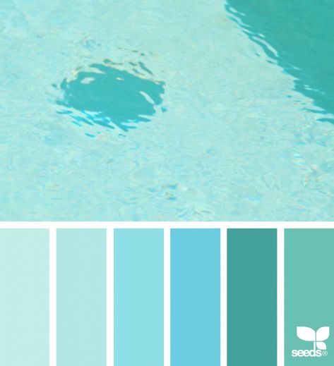 Color Swim Design Seeds Color Palette, Seeds Color Palette, Swim Design, Wedding Colors Summer, Greece Blue, Seeds Color, Best Wedding Colors, Blue Color Palette, Palette Design