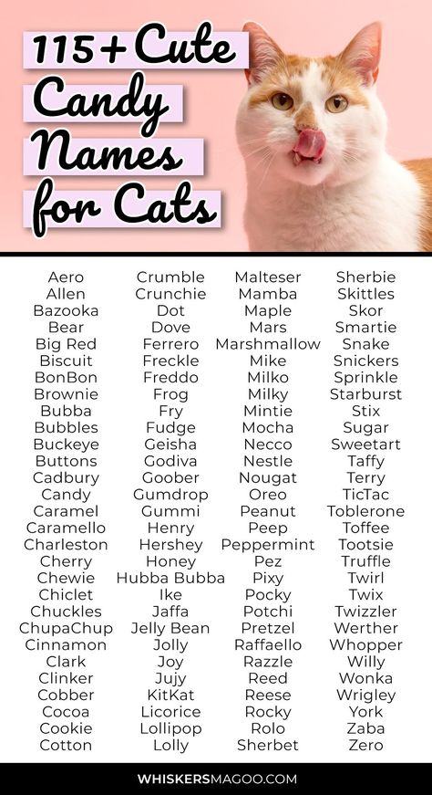 From classic candy-inspired cat names like Skittles, Fudge, Snickers, and Oreo, to other cute cat names like Goober, Pez, Rolo, and Jelly Bean, check out over 115 cute candy names for cats, right here! Food Pet Names, Name For Cats, Candy Names Ideas, Weird Cat Names, Orange Cat Names, Japanese Cat Names, Cat Name Ideas, Names Of Candy, Dessert Names