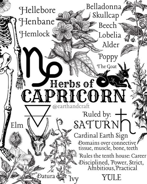 Zodiac Charts, Capricorn Energy, Birth Signs, Earth Craft, Magickal Herbs, Green Witchcraft, Grimoire Book, Magic Herbs, Magick Spells