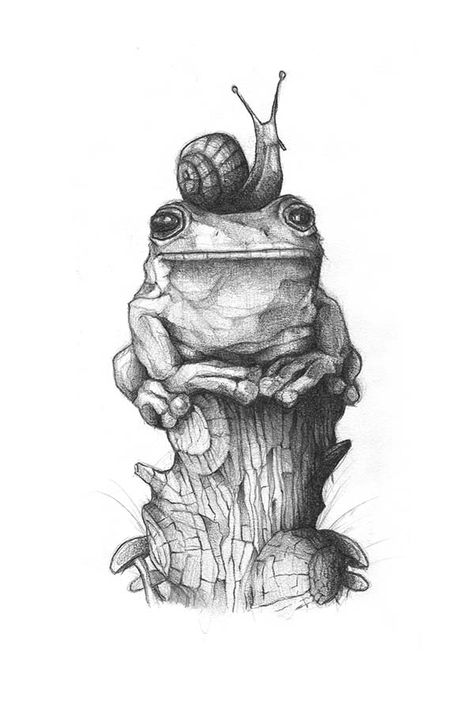 Snail Tattoo, Tattoo Nature, Illustration Kunst, Frog Illustration, Nature Tattoo, Frog Tattoos, Frog Drawing, Fashion Art Prints, Art Mignon