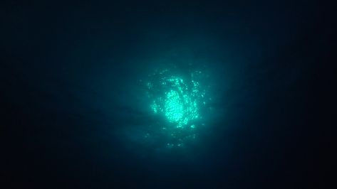 Looking up at a Fullmoon from Underwater Stock Footage #AD ,#Underwater#Fullmoon#Footage#Stock Looking Up From Underwater, Dark Underwater Art, Underwater Looking Up, Underwater Lighting, Rune Knight, Water Spirits, Underwater Kingdom, Waves Audio, Gacha Background