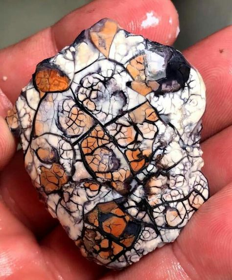 Tiffany Stone, Rocks And Fossils, Pretty Rocks, Cool Rocks, Beautiful Rocks, Mineral Stone, Garden Bed, Rocks And Gems, Minerals And Gemstones