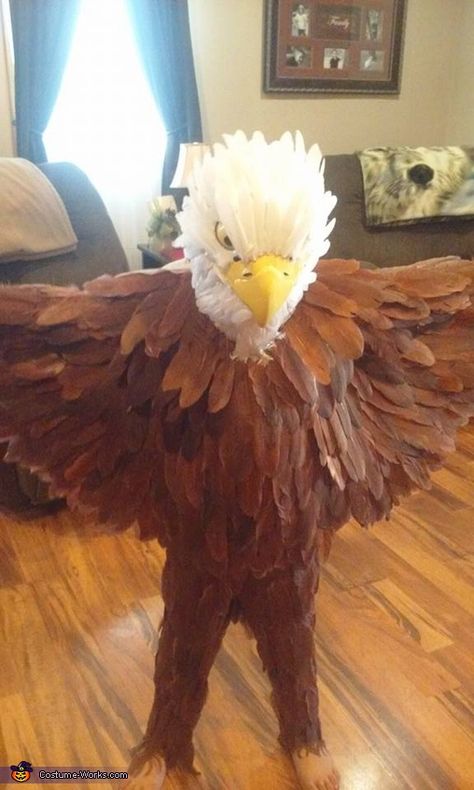 Diana: My 8 year old decided this year he wanted to become a Bald Eagle!! When i asked him why such a choice his replyIts the USA bird mom!! After many... Bald Eagle Costume, Eagle Costume, Funny Group Halloween Costumes, Bird Diy, Best Group Halloween Costumes, Halloween Costumes Kids Boys, Funny Couple Halloween Costumes, Halloween Diy Outdoor, Best Friend Halloween Costumes