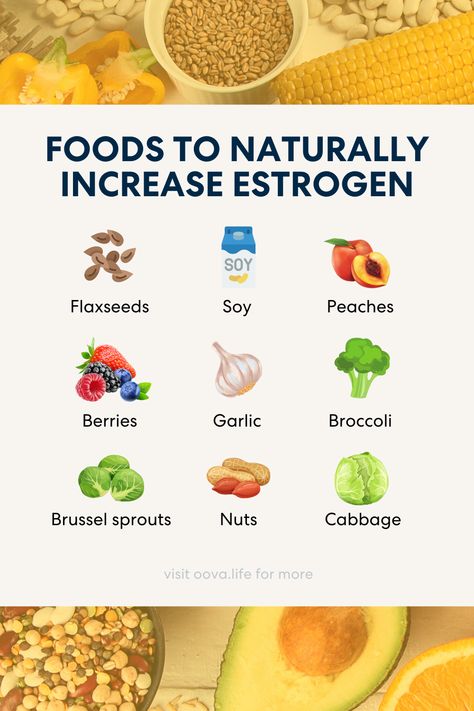 Balance your hormones with these nourishing foods for estrogen! Naturally increase estrogen by incorporating them into your diet. Tap the link to read the full blog post. Foods For Estrogen, Increase Estrogen Naturally, High Estrogen Foods, Boost Estrogen, Increase Estrogen, Estrogen Foods, Estrogen Rich Foods, Natural Estrogen, Broccoli And Brussel Sprouts