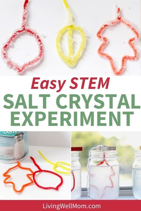 Make leaves out of pipe cleaners then add them to a salt water solution until salt crystals form. Your kids will be fascinated by this fall STEM activity! Science Crafts For Kids, Fall Stem Activities, Crystals For Kids, Stem Activity For Kids, Elementary Stem Activities, Diy Leaf, Fun Stem Activities, Fall Science, Pretty Crystals