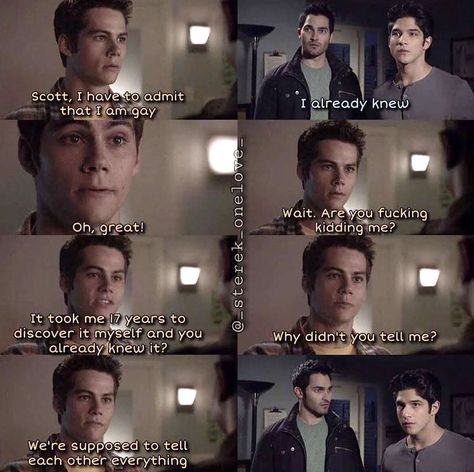 Wolf Meme, Teen Wolf Art, Scott And Stiles, Fandom Jokes, Teen Wolf Ships, Teen Wolf Quotes, Teen Wolf Memes, Teen Wolf Funny, Teen Wolf Mtv