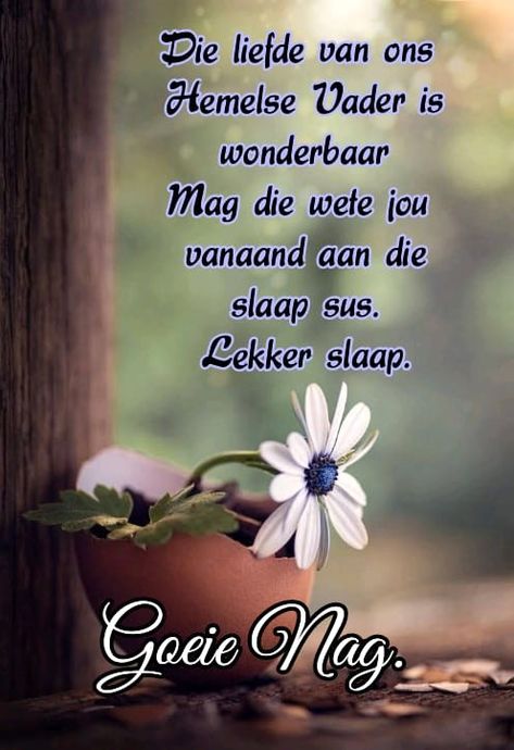 Lekker Slaap, Good Morning Beautiful Gif, Good Morning Flowers Quotes, Night Greetings, Goeie Nag, Goeie More, Night Flowers, Good Night Greetings, Flower Arrangements Diy