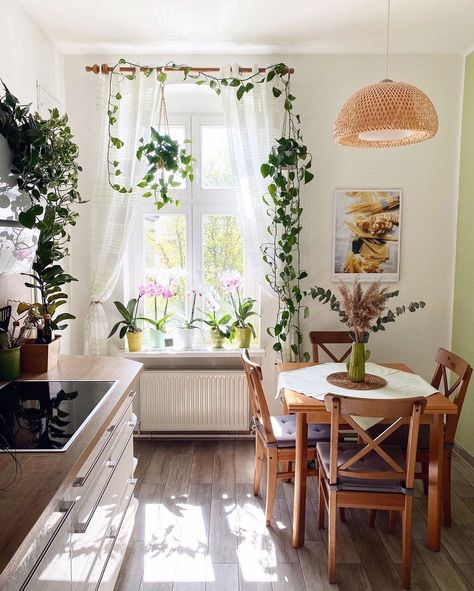 The Spruce | There’s nothing quite like natural light filling a kitchen early in the morning. ✨📸: @intotheplants | Instagram Plants In The Kitchen, Rustic Kitchen Designs, Farmhouse Flair, The Spruce, Plants Decor, Early In The Morning, Apartment Life, Kitchen Decoration, Apartment Living