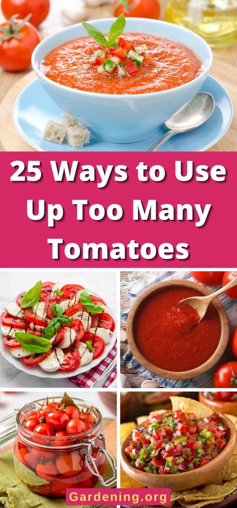 25 Ways to Use Up Too Many Tomatoes