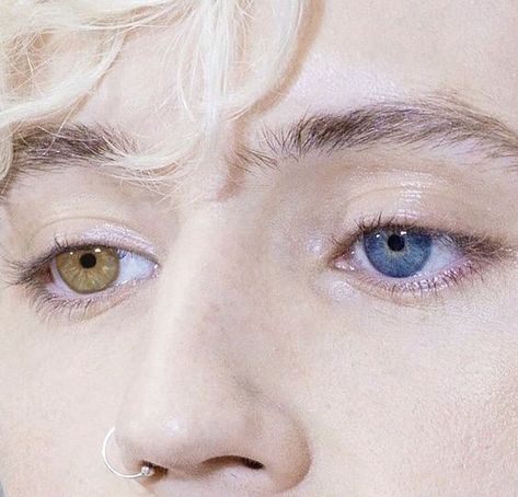 Troy Sivan, Heterochromia Eyes, Snow Berries, Julian Blackthorn, 얼굴 드로잉, Photographie Portrait Inspiration, The Dark Artifices, Troye Sivan, Aesthetic Eyes