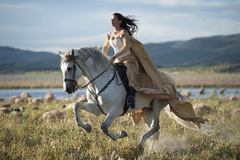 Miniature Horses, Horse Running Drawing, Breeds Of Horses, Medieval Girl, Woman Riding Horse, Medieval Horse, Horse Riding Aesthetic, Medieval Aesthetic, Miniature Horse