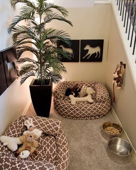 تحت الدرج, Dog Spaces, Closet Bed, Tiny Bedrooms, Pet Corner, Animal Room, Dog Rooms, Pet Gate, Closet Ideas