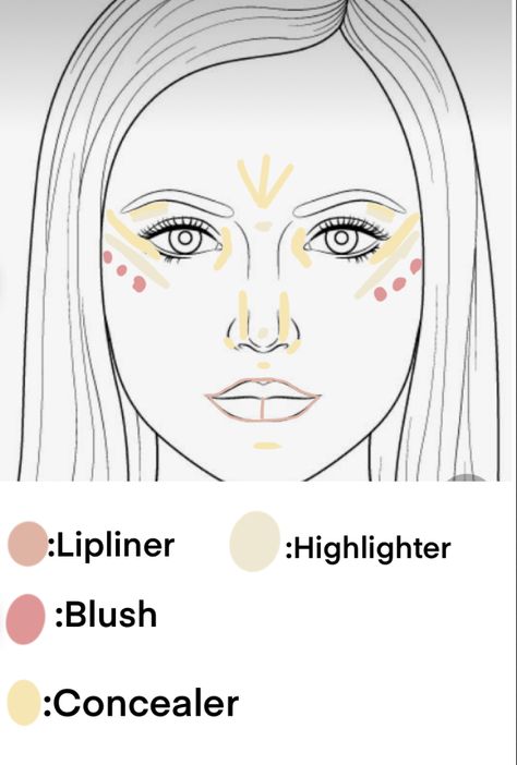 Natural Makeup Face Chart, Makeup Techniques Concealer, Where To Place Your Makeup On Your Face, Natural Makeup Diagram, Makeup On Face Chart, Makeup Tutorial Placement, Placement Of Makeup, Simple Makeup Looks Aesthetic, Lifted Make Up Look