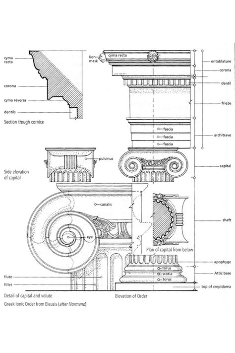 Greek Ionic Order from Eleusis (after Normand). (Dictionary), 2006 Greek Arch, History Sketches, Ionic Order, Architecture Antique, Architectural Orders, Architecture Classic, History Project, Greek Temple, Ancient Greek Architecture