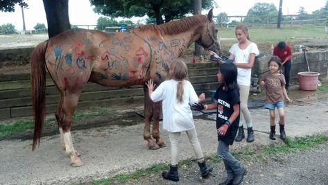 Horse Summer Camp Craft and Game Ideas - HubPages Horse Camping, Ideas For Crafts, Therapeutic Riding, Camp Games, Horse Lessons, Equestrian Helmets, Equine Therapy, Summer Camp Crafts, Horse Games